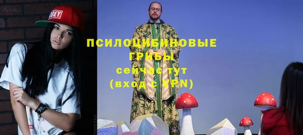 а пвп мука Карабаново