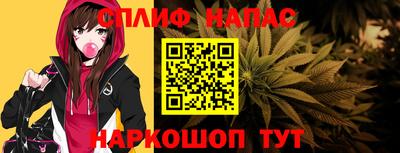 Альфа ПВП Гатчина