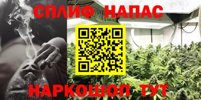 apvp Гай