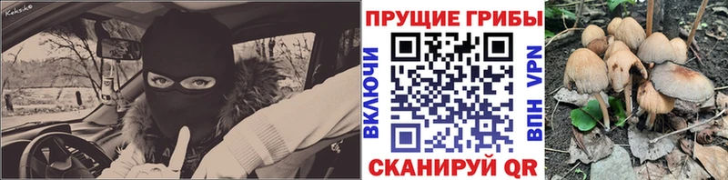 Псилоцибиновые грибы мицелий Клин